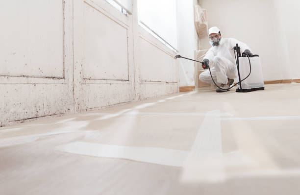 24/7 Emergency Basement Mold Removal experts in Greenbrier, TN